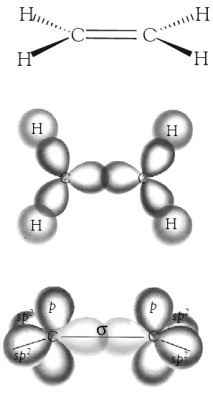 Tumpang tindih orbital hibrida sp2– sp2 membentuk ikatan-σ karbonkarbon.