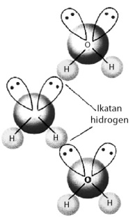 Ikatan Hidrogen